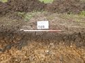 Thumbnail of Photo 1020063 northwest facing representative section of trench 109 taken at Hunts Green Farm