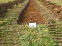 Thumbnail of Photo 1020065 southwest view of trench 103 taken at Hunts Green Farm