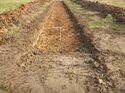 Thumbnail of Photo 1020069 northeast view of trench 103 taken at Hunts Green Farm