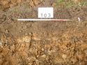 Thumbnail of Photo 1020071 southeast facing representative section of trench 103 taken at Hunts Green Farm