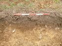 Thumbnail of Photo 1020087 northwest facing section of bioturbation [910906] taken at Hunts Green Farm