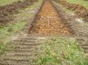Thumbnail of Photo 1020089 south view of trench 105 taken at Hunts Green Farm