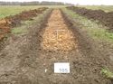 Thumbnail of Photo 1020091 north view of trench 105 taken at Hunts Green Farm