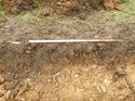 Thumbnail of Photo 1020095 west facing representative section of trench 105 taken at Hunts Green Farm