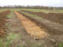 Thumbnail of Photo 1020098 south view of trench 113 taken at Hunts Green Farm