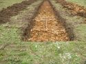 Thumbnail of Photo 1020100 north view of trench 113 taken at Hunts Green Farm