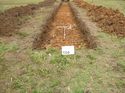 Thumbnail of Photo 1020104 east view of trench 104 taken at Hunts Green Farm