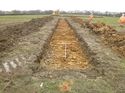 Thumbnail of Photo 1020113 south view of trench 97 taken at Hunts Green Farm