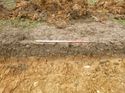 Thumbnail of Photo 1020119 east facing representative section of trench 97 taken at Hunts Green Farm