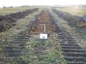 Thumbnail of Photo 1020138 southwest view of trench 97 taken at Hunts Green Farm