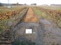 Thumbnail of Photo 1020141 northeast view of trench 97 taken at Hunts Green Farm