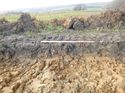 Thumbnail of Photo 1020145 northwest facing representative section of trench 97 taken at Hunts Green Farm