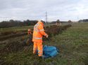 Thumbnail of Photo 1020147 working shots taken at Hunts Green Farm