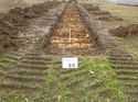 Thumbnail of Photo 1020160 southwest view of trench 92 taken at Hunts Green Farm