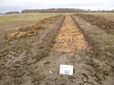 Thumbnail of Photo 1020163 northeast view of trench 92 taken at Hunts Green Farm