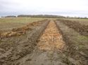 Thumbnail of Photo 1020164 northeast view of trench 92 taken at Hunts Green Farm