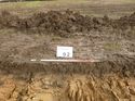 Thumbnail of Photo 1020166 northwest facing representative section of trench 92 taken at Hunts Green Farm