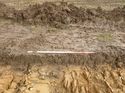 Thumbnail of Photo 1020167 northwest facing representative section of trench 92 taken at Hunts Green Farm