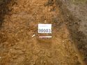 Thumbnail of Photo 1020168 southeast facing section of geological feature [909803] taken at Hunts Green Farm