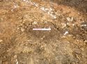 Thumbnail of Photo 1020171 east facing section of geological feature [909803] taken at Hunts Green Farm