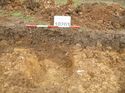 Thumbnail of Photo 1020171 southeast facing section of geological feature [909803] taken at Hunts Green Farm