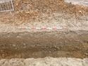 Thumbnail of Photo 1020007 southwest facing section of natural feature in trench 114 taken at Hunts Green Farm