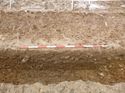 Thumbnail of Photo 1020016 east view of trench 118 taken at Hunts Green Farm