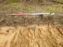 Thumbnail of Photo 1020030 northeast view of trench 88 taken at Hunts Green Farm