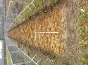 Thumbnail of Photo 1020032 northeast view of trench 88 taken at Hunts Green Farm