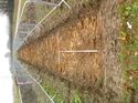Thumbnail of Photo 1020038 southeast facing section of ditch [908802] taken at Hunts Green Farm