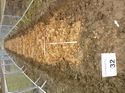 Thumbnail of Photo 1020039 north view of trench 101 taken at Hunts Green Farm