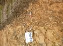 Thumbnail of Photo 1020044 south view of trench 101 taken at Hunts Green Farm