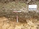 Thumbnail of Photo 1020047 east view of trench 95 taken at Hunts Green Farm
