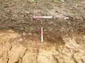Thumbnail of Photo 1020048 east view of trench 95 taken at Hunts Green Farm