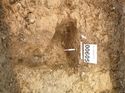Thumbnail of Photo 1020049 east view of trench 95 taken at Hunts Green Farm