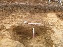 Thumbnail of Photo 1020053 south facing representative section of trench 95 taken at Hunts Green Farm