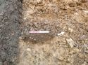 Thumbnail of Photo 1020271 southeast facing section of posthole [901608] taken at Hunts Green Farm