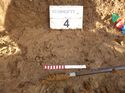 Thumbnail of Photo 1020276 detail of Auger 4 taken at Hunts Green Farm part 5