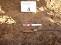 Thumbnail of Photo 1020282 detail of Auger 4 taken at Hunts Green Farm part 11