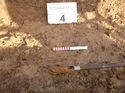 Thumbnail of Photo 1020283 detail of Auger 4 taken at Hunts Green Farm part 12