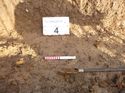 Thumbnail of Photo 1020285 detail of Auger 4 taken at Hunts Green Farm part 14