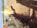 Thumbnail of Photo 020021 location of posthole [906703] within trench taken at Hunts Green Farm