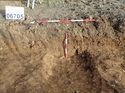 Thumbnail of Photo 020027 west facing section of ditch [906705] taken at Hunts Green Farm view 1 mutliple scales