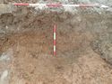 Thumbnail of Photo 020043 east facing section of ditch [904507] taken at Hunts Green Farm