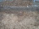 Thumbnail of Photo 020046 east facing section of rooting 906711 taken at Hunts Green Farm