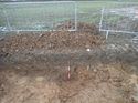 Thumbnail of Photo 020047 east facing section of rooting 906711 taken at Hunts Green Farm