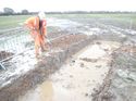 Thumbnail of Photo 030061 working shots taken at Hunts Green Farm