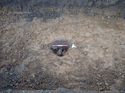 Thumbnail of Photo 030078 south facing section of posthole [910703] taken at Hunts Green Farm