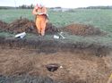 Thumbnail of Photo 030079 south facing section of posthole [910703] taken at Hunts Green Farm