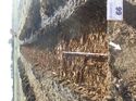 Thumbnail of Photo 040083 southeast view trench 66 taken at Hunts Green Farm